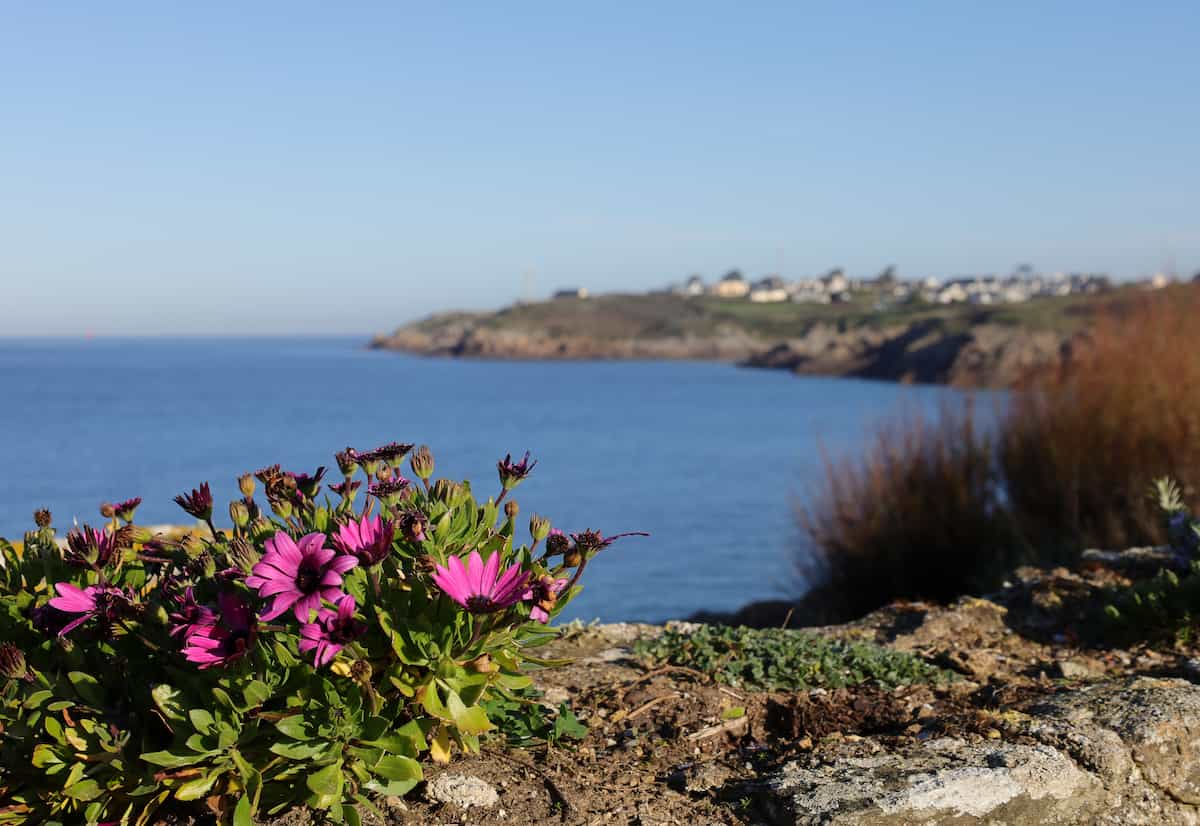 ballade conquet